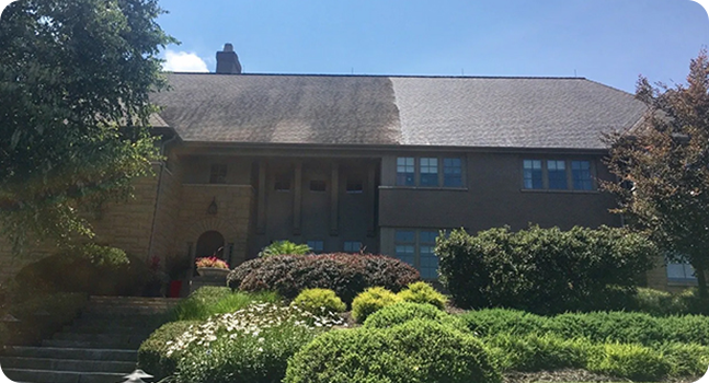 Shingle Shine Roof Cleaning